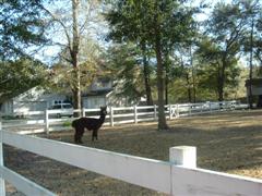 photos 019 (WinCE).jpg